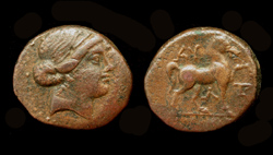 Aeolis, Kyme, Amazon with Horse reverse, Spectacular!
